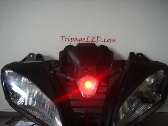 R6005.jpg