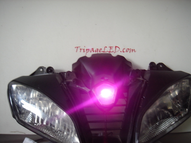R6009.jpg